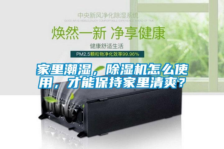 家里潮湿，除湿机怎么使用，才能保持家里清爽？