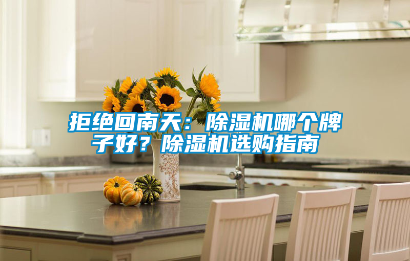 拒绝回南天：除湿机哪个牌子好？除湿机选购指南