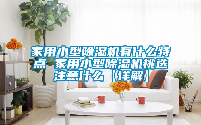 家用小型除湿机有什么特点 家用小型除湿机挑选注意什么【详解】