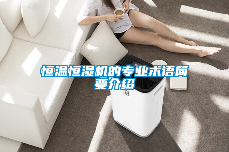 恒温恒湿机的专业术语简要介绍