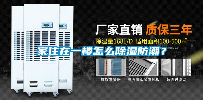 家住在一楼怎么除湿防潮？