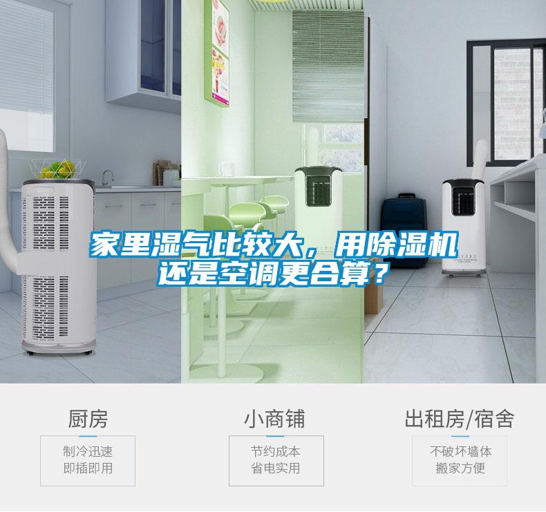 家里湿气比较大，用除湿机还是空调更合算？