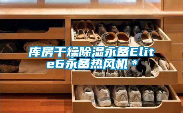 库房干燥除湿永备Elite6永备热风机＊