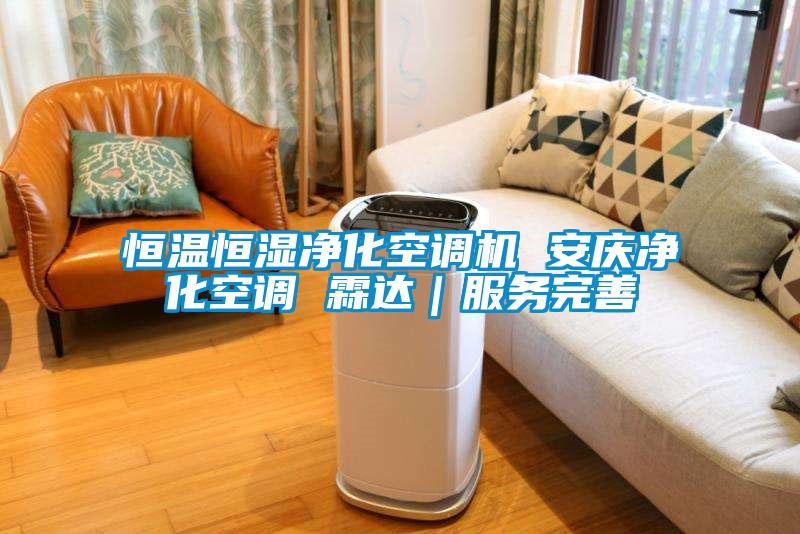 恒温恒湿净化空调机 安庆净化空调 霖达｜服务完善
