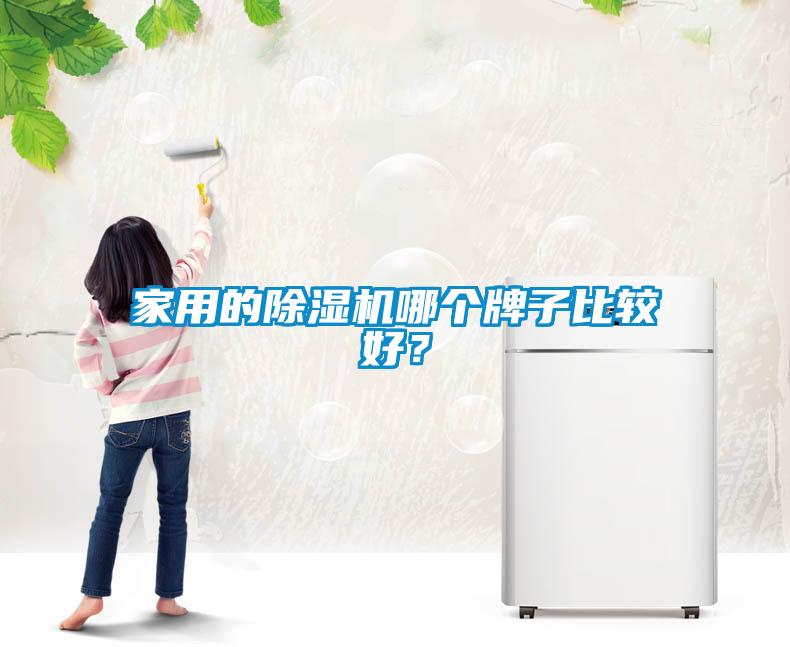 家用的除湿机哪个牌子比较好？