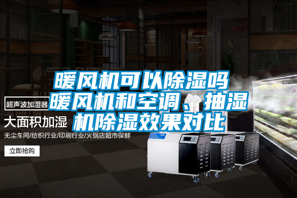 暖风机可以除湿吗 暖风机和空调、抽湿机除湿效果对比