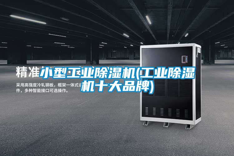 小型工业除湿机(工业除湿机十大品牌)