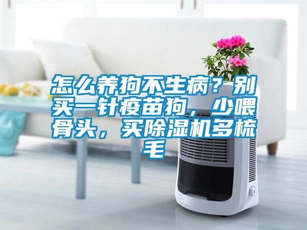 怎么养狗不生??？别买一针疫苗狗，少喂骨头，买除湿机多梳毛