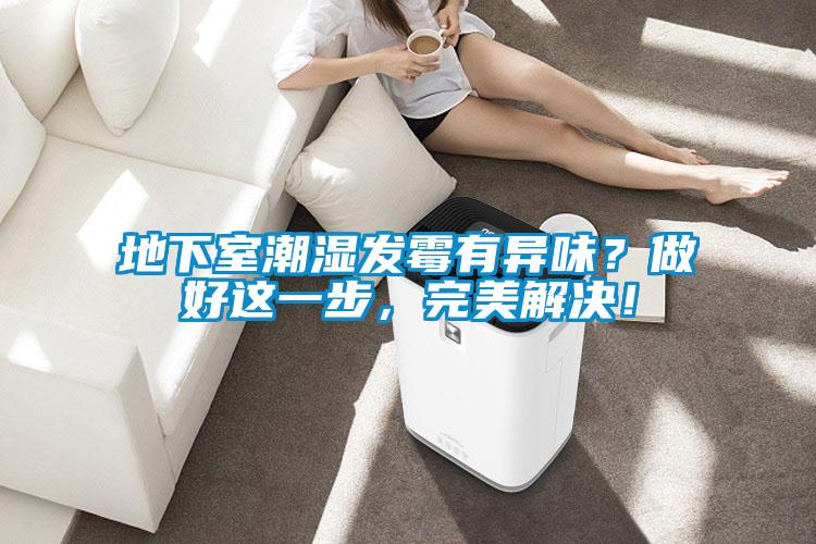 地下室潮湿发霉有异味？做好这一步，完美解决！