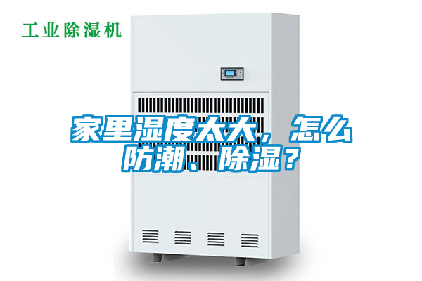 家里湿度太大，怎么防潮、除湿？