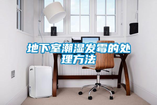 地下室潮湿发霉的处理方法