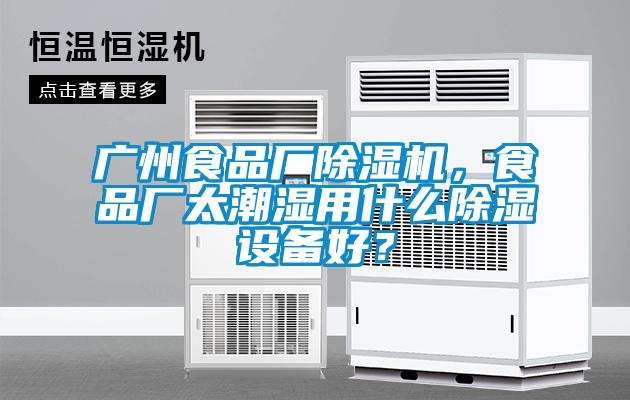 广州食品厂除湿机，食品厂太潮湿用什么除湿设备好？