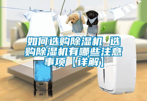 如何选购除湿机 选购除湿机有哪些注意事项【详解】