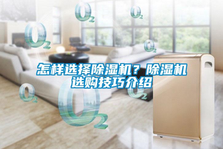 怎样选择除湿机？除湿机选购技巧介绍