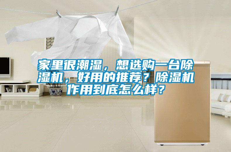 家里很潮湿，想选购一台除湿机，好用的推荐？除湿机作用到底怎么样？