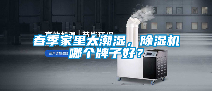 春季家里太潮湿，除湿机哪个牌子好？