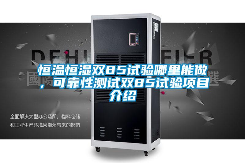 恒温恒湿双85试验哪里能做，可靠性测试双85试验项目介绍