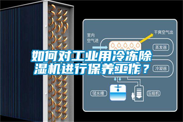 如何对工业用冷冻除湿机进行保养工作？