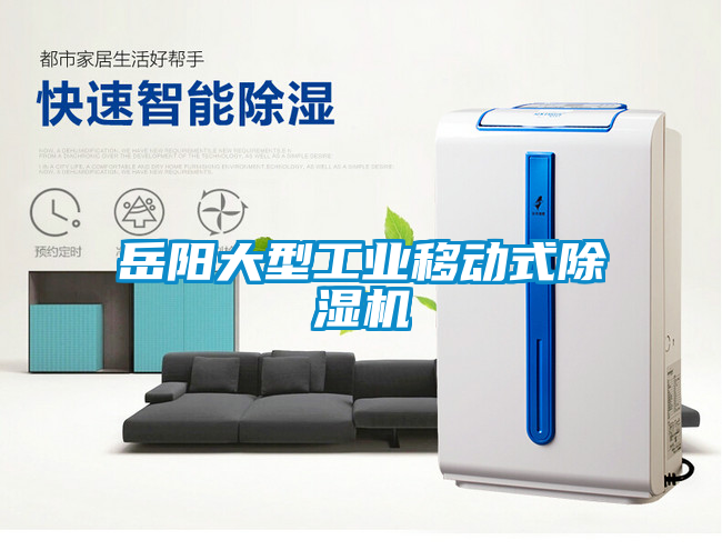 岳阳大型工业移动式除湿机