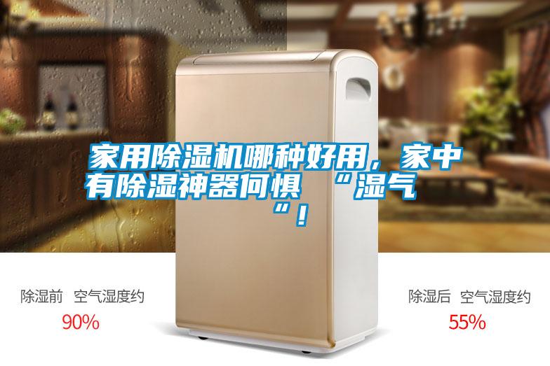 家用除湿机哪种好用，家中有除湿神器何惧 “湿气 “！