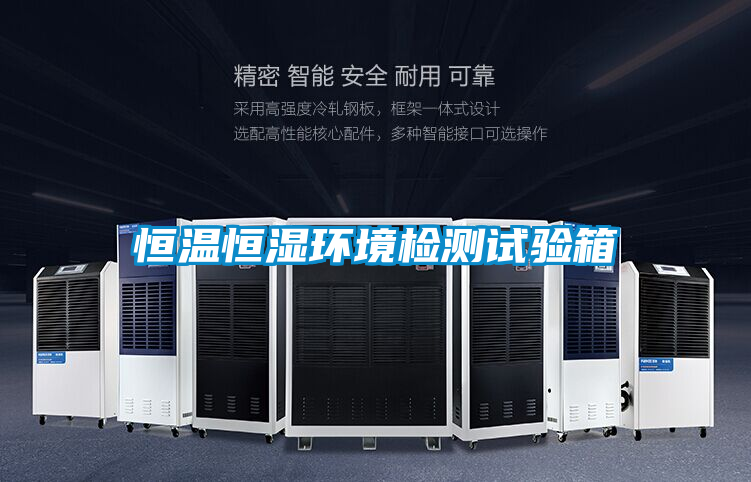 恒温恒湿环境检测试验箱