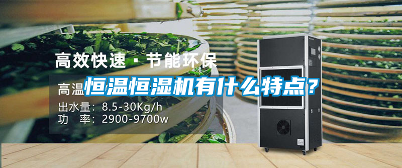 恒温恒湿机有什么特点？