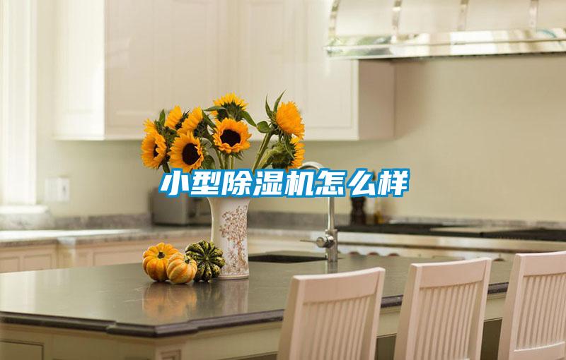 小型除湿机怎么样