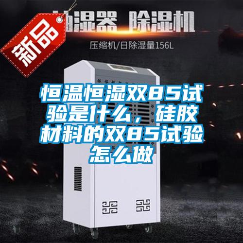 恒温恒湿双85试验是什么，硅胶材料的双85试验怎么做