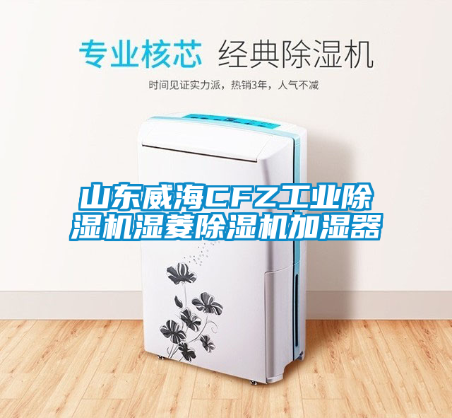 山东威海CFZ工业除湿机湿菱除湿机加湿器