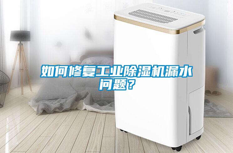如何修复工业除湿机漏水问题？