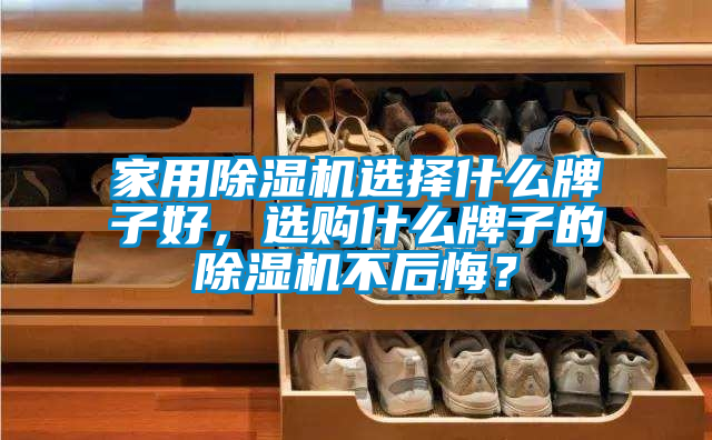 家用除湿机选择什么牌子好，选购什么牌子的除湿机不后悔？