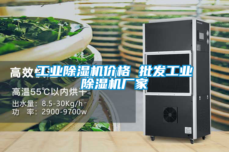 工业除湿机价格 批发工业除湿机厂家