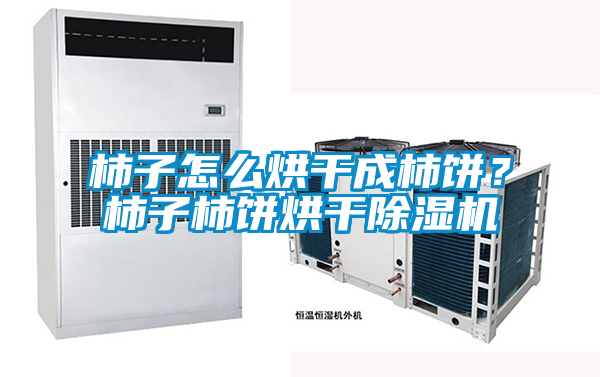 柿子怎么烘干成柿饼？柿子柿饼烘干除湿机