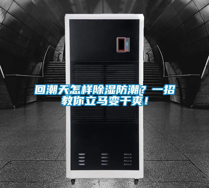 回潮天怎样除湿防潮？一招教你立马变干爽！