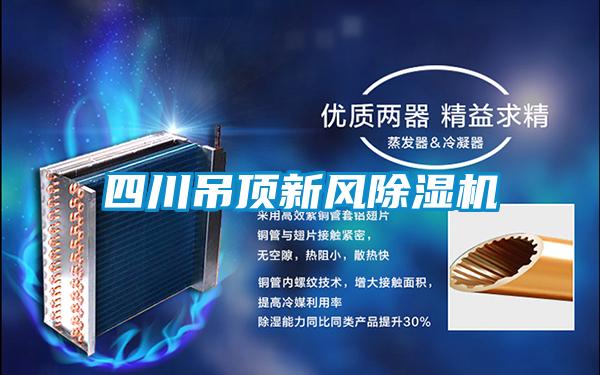 四川吊顶新风除湿机