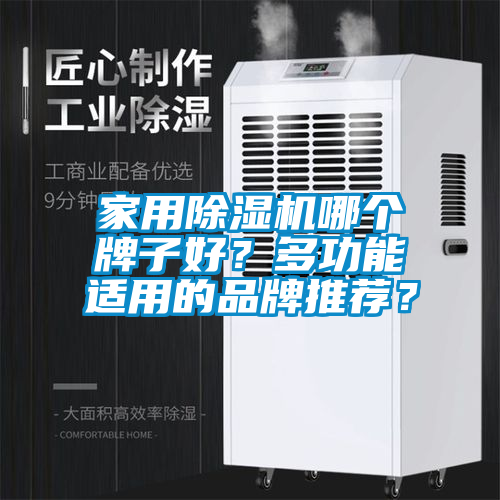 家用除湿机哪个牌子好？多功能适用的品牌推荐？