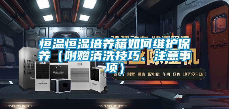 恒温恒湿培养箱如何维护保养（附赠清洗技巧、注意事项）