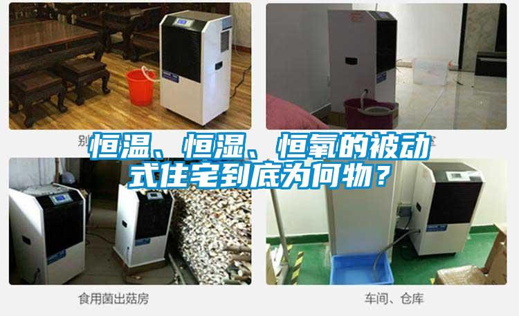 恒温、恒湿、恒氧的被动式住宅到底为何物？