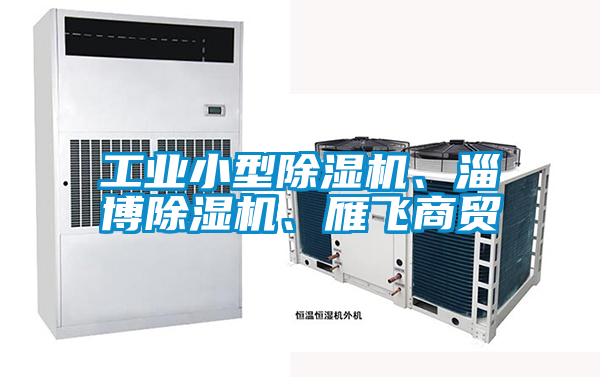工业小型除湿机、淄博除湿机、雁飞商贸