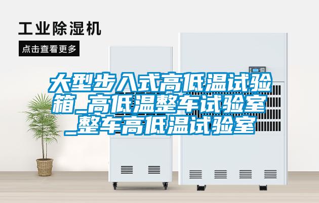大型步入式高低温试验箱_高低温整车试验室_整车高低温试验室