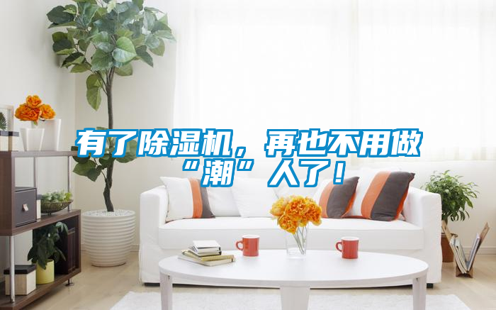 有了除湿机，再也不用做“潮”人了！