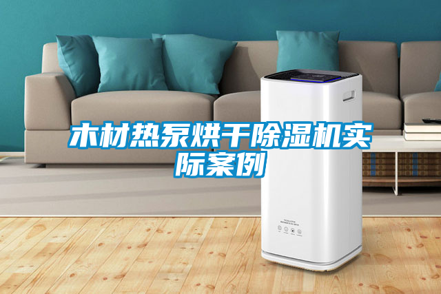 木材热泵烘干除湿机实际案例