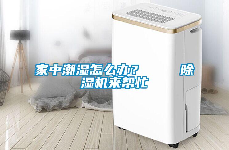 家中潮湿怎么办？    除湿机来帮忙