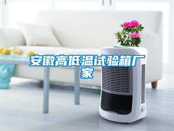 安徽高低温试验箱厂家