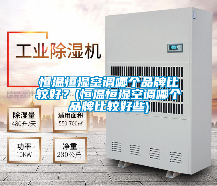 恒温恒湿空调哪个品牌比较好？(恒温恒湿空调哪个品牌比较好些)