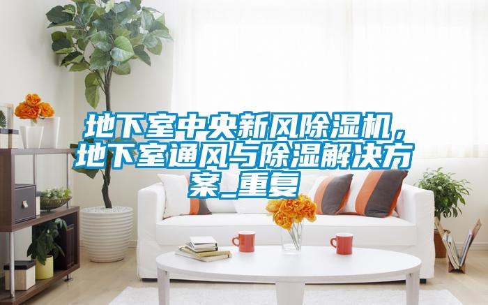 地下室中央新风除湿机，地下室通风与除湿解决方案_重复