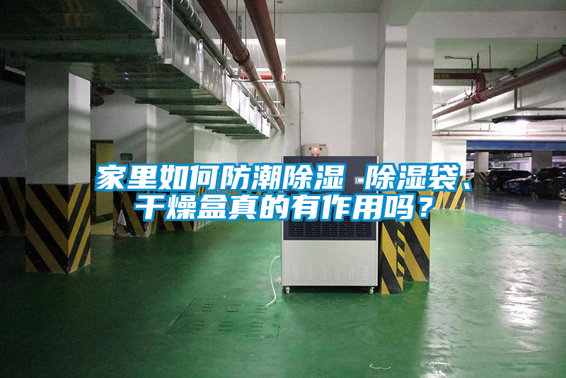 家里如何防潮除湿 除湿袋、干燥盒真的有作用吗？