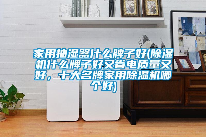 家用抽湿器什么牌子好(除湿机什么牌子好又省电质量又好，十大名牌家用除湿机哪个好)