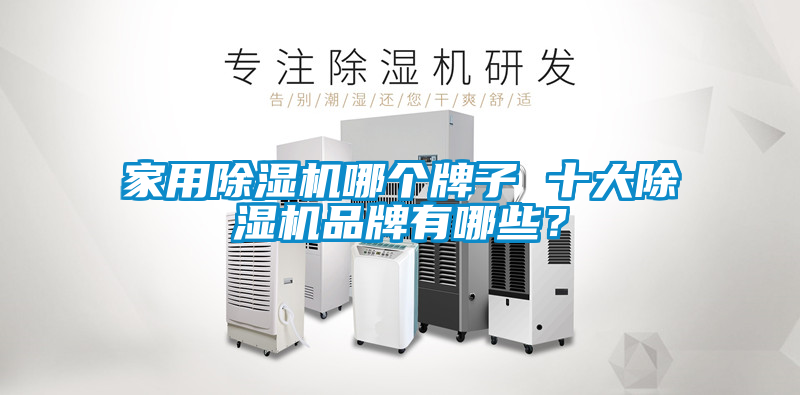 家用除湿机哪个牌子 十大除湿机品牌有哪些？