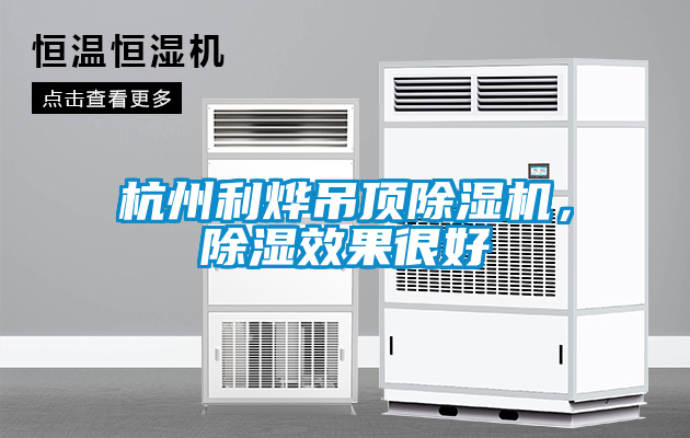 杭州利烨吊顶除湿机，除湿效果很好